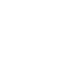 Spinal Conditions
