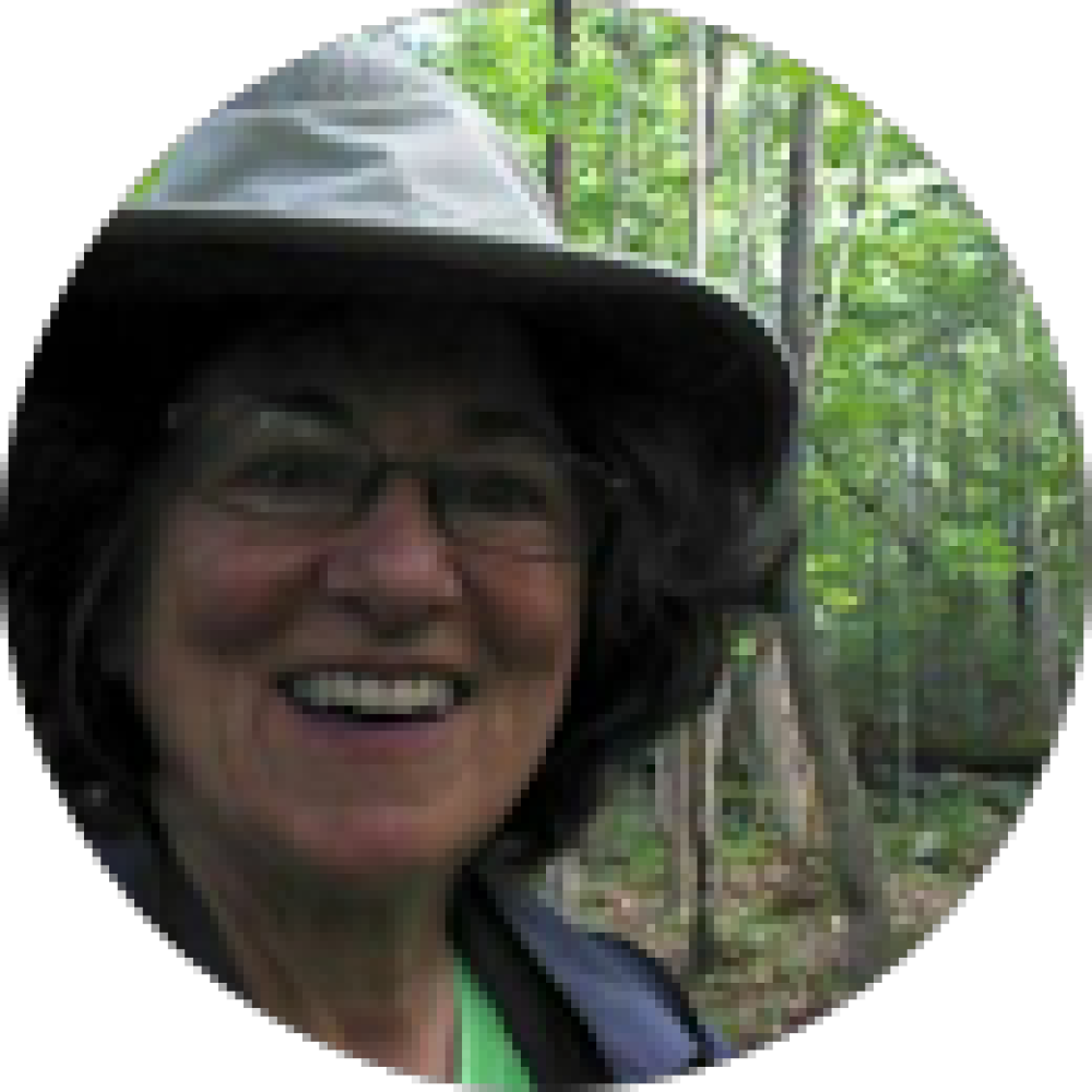 barrie raik